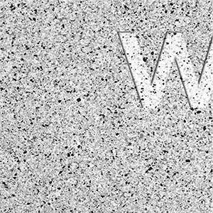 AM_ENDLESS1-sample-300px