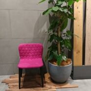 100.4月末まで-Sancal展示会、IOC様にて開催中