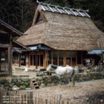 457.コンフォルト(209号)