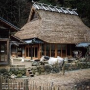 457.コンフォルト(209号)