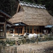 457.コンフォルト(209号)